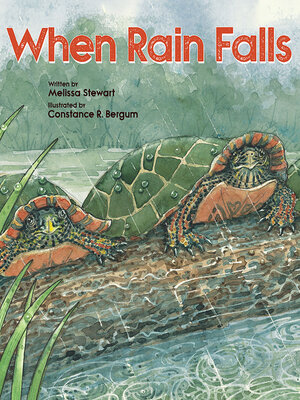 cover image of When Rain Falls